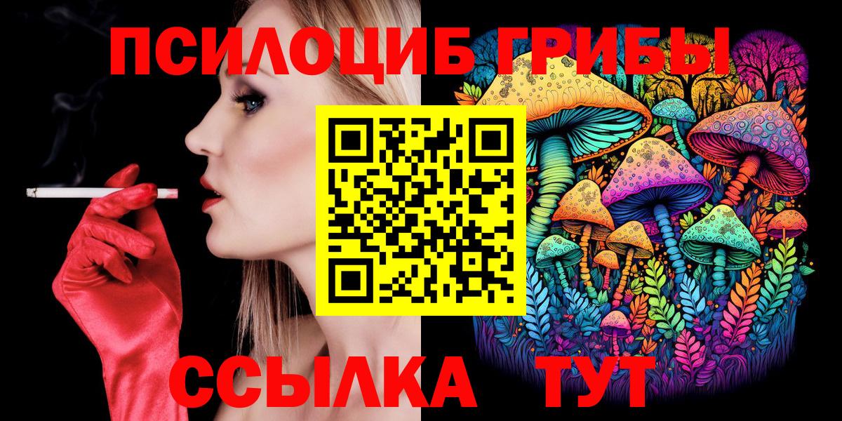 Псилоцибиновые грибы мухоморы  Вход с VPN  наркошоп  Кисловодск 
